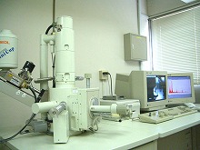 SEM（走査型電子顕微鏡）